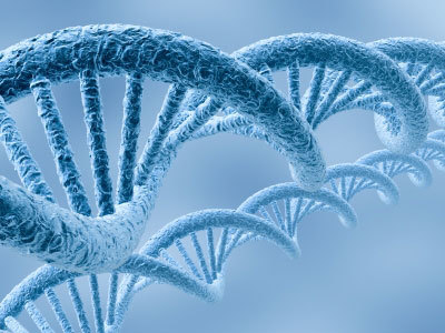 生物專業(yè)考研方向解析與頂尖院校及生物科技開發(fā)前景展望